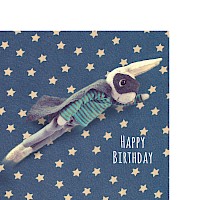 Birthday Hero