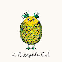 A Pineapple Owl