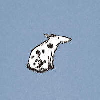 Nice Dog