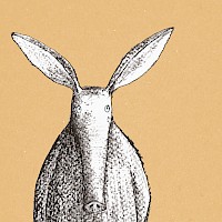 On Being An Aardvark
