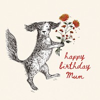 Chrysanths For Mum