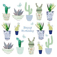 Cacti