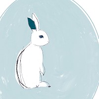 Kit