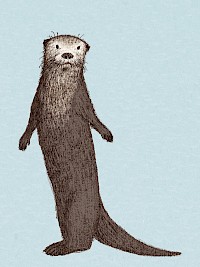 Otter