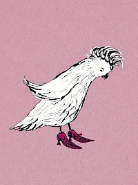 Cockatoo's New Shoes