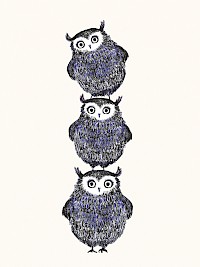 Small Blue Owls