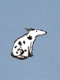 Nice Dog