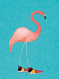 Flamingogo