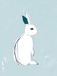 Kit
