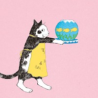 Cat's Fish Cake