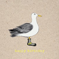 Birthday Surfer