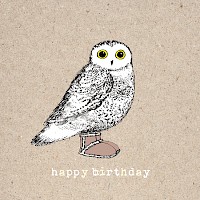 Snowy Owl's Birthday Boots