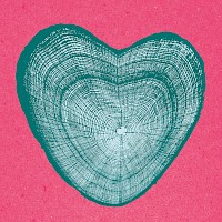 Love Grows