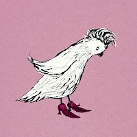 Cockatoo's New Shoes