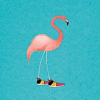 Flamingogo