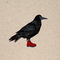 Rook's Look