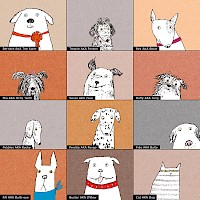 Zoomdogs AKA Club