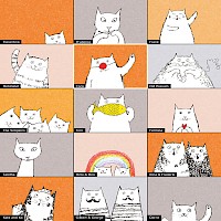 Zoomcats Meeting