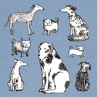 All Shapes And Sizes