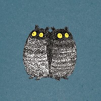 Timorous Owls