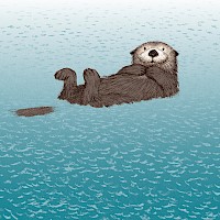 Sea Otter