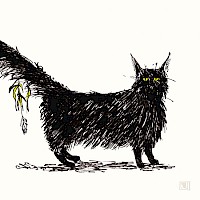 What The Cat Dragged In