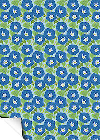 Morning Glories