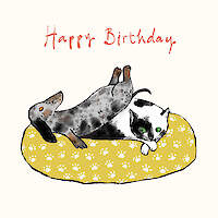 Suitable for Cats and Dogs