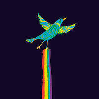 Rainbow Perch