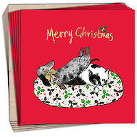The Shared Gift (charity pack)