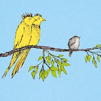 Fledgling
