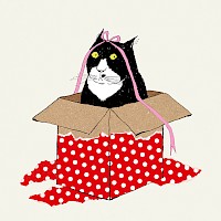 The Gift