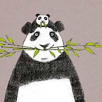 Bamboo Again!