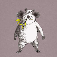 Koalas