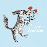 Dandy Birthday