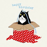 The Birthday Gift
