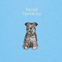 Happy Dog