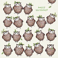 Brown Owls Dancing