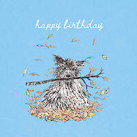 Birthday Romp