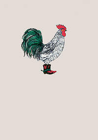 Cock-a-doodle Dude