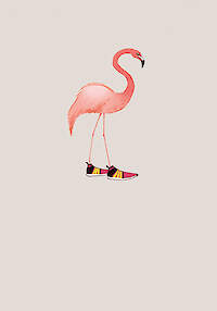 Flamingogo