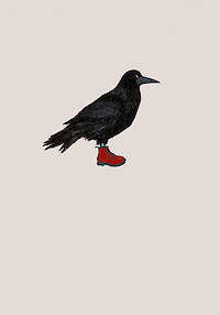 Rook's Look