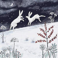 Winter Joy