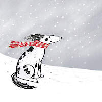 Waiting For Snowballs