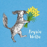 Dandy - Brysia Wella