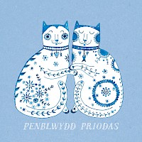 A Charming Couple - Penblwydd Priodas
