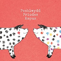 Glad I Spotted You - Penblwydd Priodas