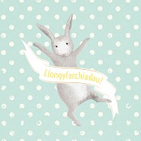 Congratulations! - Babi Newydd