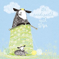 Woolly's Baby Blanket - Wyr