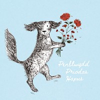 Crysanths For You - Penblwydd Priodas